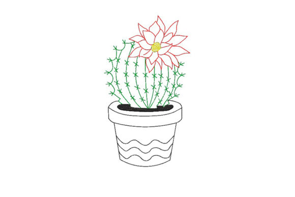 Cactus in a Flower Pot