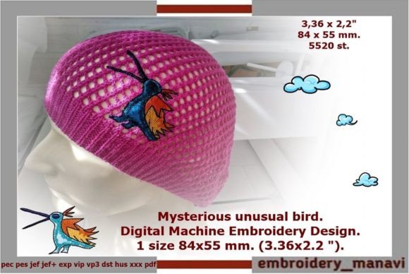 Mysterious Unusual Bird