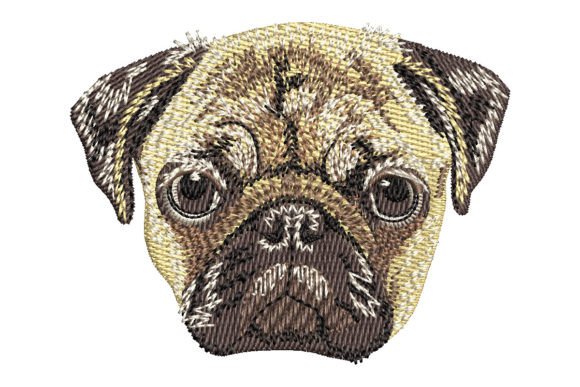 Pug