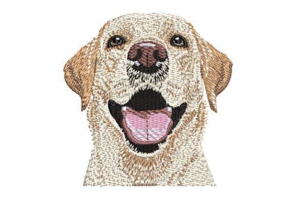 Yellow Lab Smiling